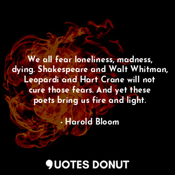 We all fear loneliness, madness, dying. Shakespeare and Walt Whitman, Leopardi and Hart Crane will not cure those fears. And yet these poets bring us fire and light.