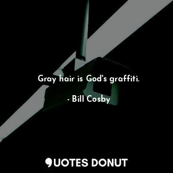 Gray hair is God&#39;s graffiti.