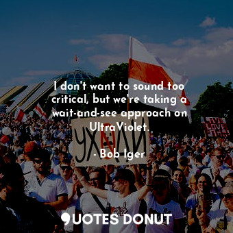  I don&#39;t want to sound too critical, but we&#39;re taking a wait-and-see appr... - Bob Iger - Quotes Donut