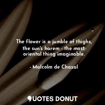  The flower is a jumble of thighs, the sun&#39;s harem - the most oriental thing ... - Malcolm de Chazal - Quotes Donut