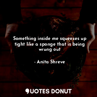  Something inside me squeezes up tight like a sponge that is being wrung out... - Anita Shreve - Quotes Donut
