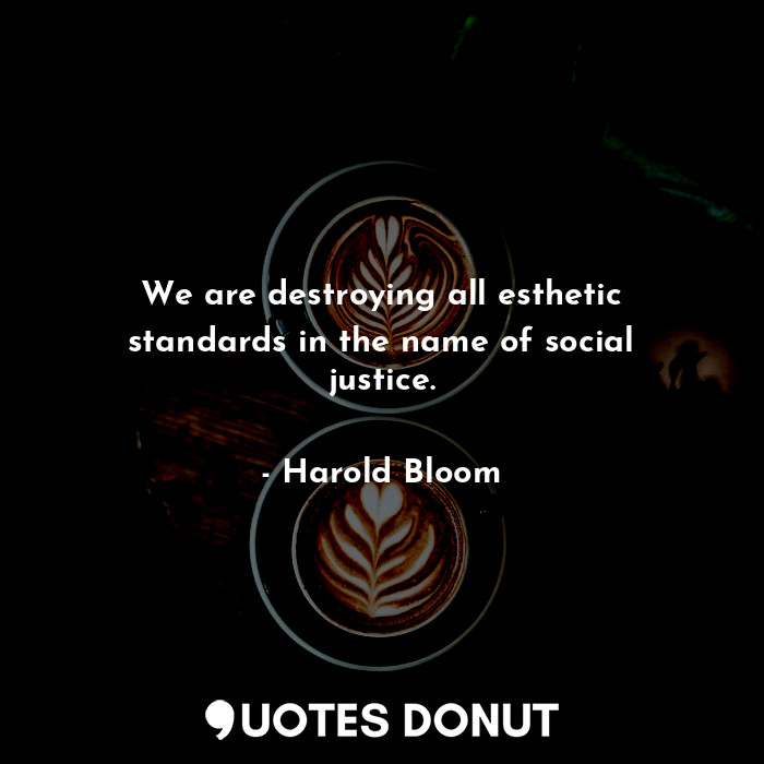 We are destroying all esthetic standards in the name of social justice.