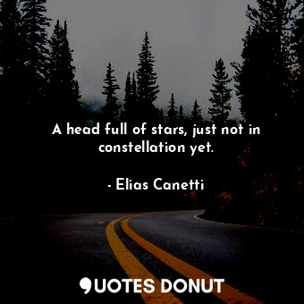  A head full of stars, just not in constellation yet.... - Elias Canetti - Quotes Donut