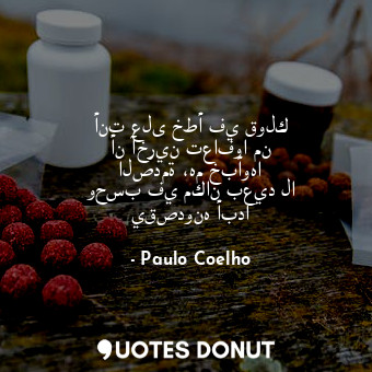  أنت على خطأ في قولك أن آخرين تعافوا من الصدمة ،هم خبأوها وحسب في مكان بعيد لا يق... - Paulo Coelho - Quotes Donut