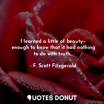 I learned a little of beauty-- enough to know that it had nothing to do with truth...