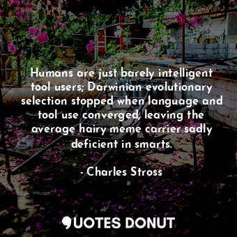 Humans are just barely intelligent tool users; Darwinian evolutionary selection stopped when language and tool use converged, leaving the average hairy meme carrier sadly deficient in smarts.