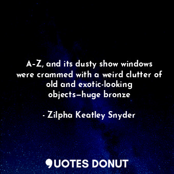 A–Z, and its dusty show windows were crammed with a weird clutter of old and exotic-looking objects—huge bronze