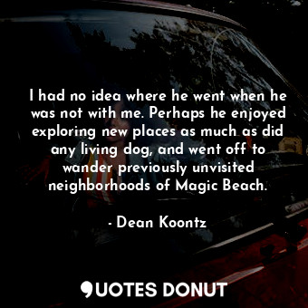 I had no idea where he went when he was not with me. Perhaps he enjoyed exploring new places as much as did any living dog, and went off to wander previously unvisited neighborhoods of Magic Beach.