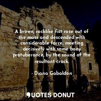  A brown, rocklike fist rose out of the mass and descended with considerable forc... - Diana Gabaldon - Quotes Donut