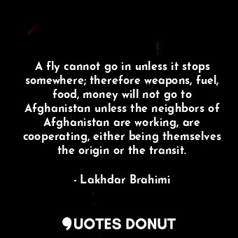 A fly cannot go in unless it stops somewhere; therefore weapons, fuel, food, money will not go to Afghanistan unless the neighbors of Afghanistan are working, are cooperating, either being themselves the origin or the transit.