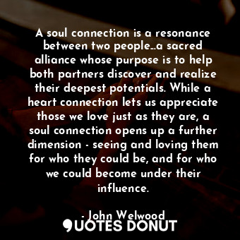 A soul connection is a resonance between two people...a sacred alliance whose purpose is to help both partners discover and realize their deepest potentials. While a heart connection lets us appreciate those we love just as they are, a soul connection opens up a further dimension - seeing and loving them for who they could be, and for who we could become under their influence.