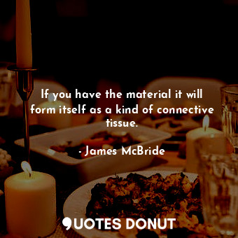  If you have the material it will form itself as a kind of connective tissue.... - James McBride - Quotes Donut