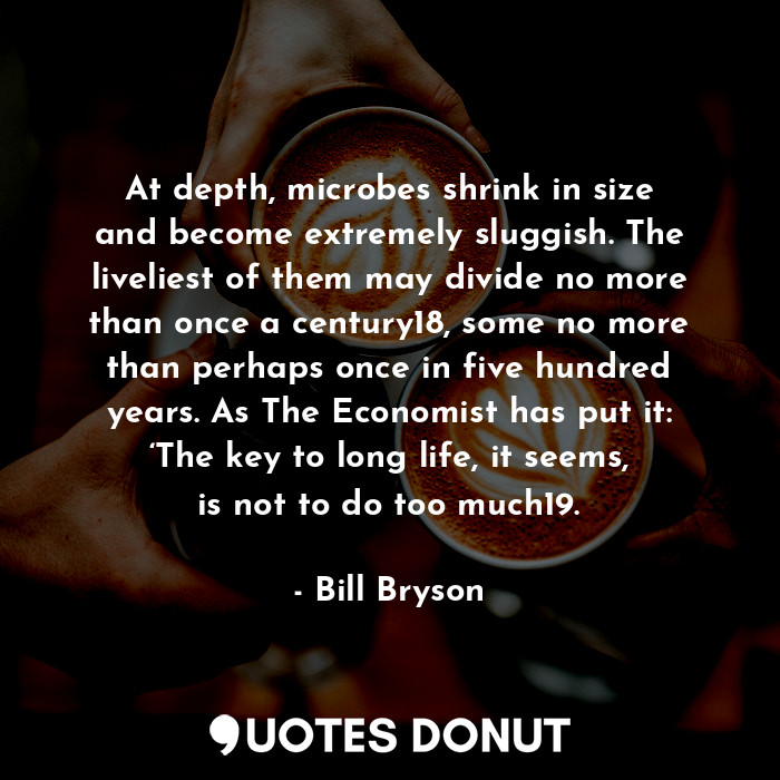 At depth, microbes shrink in size and become extremely sluggish. The liveliest of them may divide no more than once a century18, some no more than perhaps once in five hundred years. As The Economist has put it: ‘The key to long life, it seems, is not to do too much19.