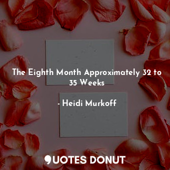The Eighth Month Approximately 32 to 35 Weeks