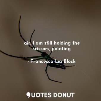  air. I am still holding the scissors, pointing... - Francesca Lia Block - Quotes Donut