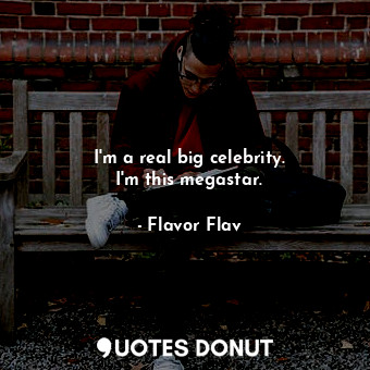  I&#39;m a real big celebrity. I&#39;m this megastar.... - Flavor Flav - Quotes Donut