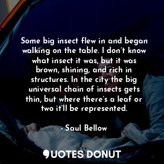  Some big insect flew in and began walking on the table. I don’t know what insect... - Saul Bellow - Quotes Donut