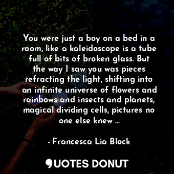 You were just a boy on a bed in a room, like a kaleidoscope is a tube full of bits of broken glass. But the way I saw you was pieces refracting the light, shifting into an infinite universe of flowers and rainbows and insects and planets, magical dividing cells, pictures no one else knew ...