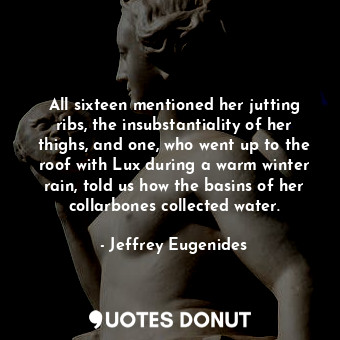 All sixteen mentioned her jutting ribs, the insubstantiality of her thighs, and one, who went up to the roof with Lux during a warm winter rain, told us how the basins of her collarbones collected water.