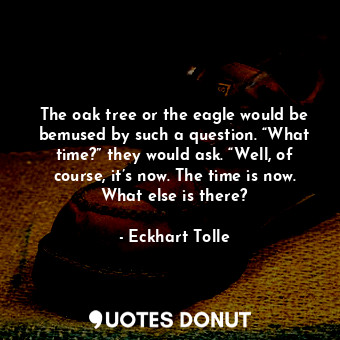 The oak tree or the eagle would be bemused by such a question. “What time?” they would ask. “Well, of course, it’s now. The time is now. What else is there?