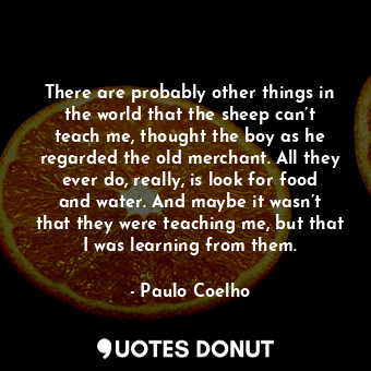 There are probably other things in the world that the sheep can’t teach me, thought the boy as he regarded the old merchant. All they ever do, really, is look for food and water. And maybe it wasn’t that they were teaching me, but that I was learning from them.