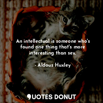 An intellectual is someone who's found one thing that's more interesting than sex.