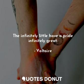  The infinitely little have a pride infinitely great.... - Voltaire - Quotes Donut