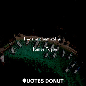  I was in chemical jail.... - James Taylor - Quotes Donut