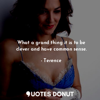  What a grand thing it is to be clever and have common sense.... - Terence - Quotes Donut