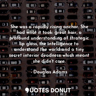  She was a rapidly rising anchor. She had what it took: great hair, a profound un... - Douglas Adams - Quotes Donut