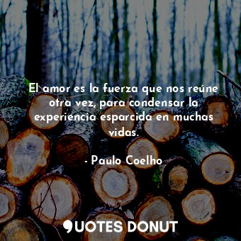  El amor es la fuerza que nos reúne otra vez, para condensar la experiencia espar... - Paulo Coelho - Quotes Donut