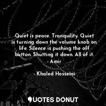Quiet is peace. Tranquility. Quiet is turning down the volume knob on life. Silence is pushing the off button. Shutting it down. All of it. - Amir