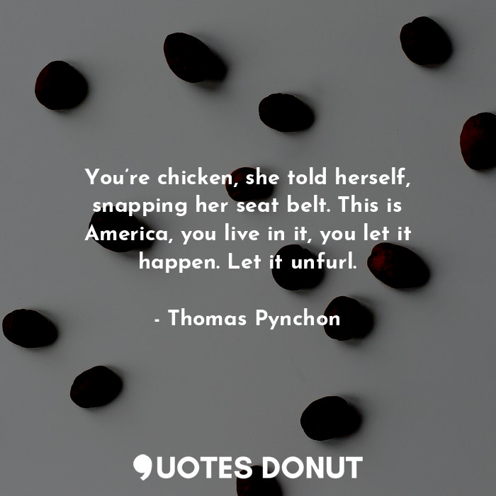 You’re chicken, she told herself, snapping her seat belt. This is America, you live in it, you let it happen. Let it unfurl.