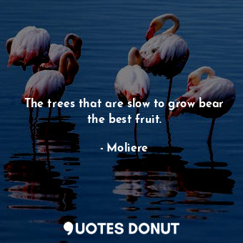  The trees that are slow to grow bear the best fruit.... - Moliere - Quotes Donut