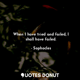 When I have tried and failed, I shall have failed.