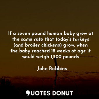 If a seven pound human baby grew at the same rate that today's turkeys (and broiler chickens) grow, when the baby reached 18 weeks of age it would weigh 1,500 pounds.
