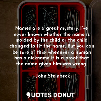  Names are a great mystery. I've never known whether the name is molded by the ch... - John Steinbeck - Quotes Donut