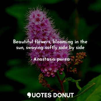  Beautiful flowers, blooming in the sun, swaying softly side by side... - Anastasia purea - Quotes Donut