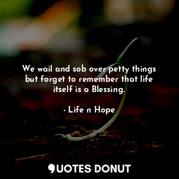  We wail and sob over petty things but forget to remember that life itself is a B... - Life n Hope - Quotes Donut