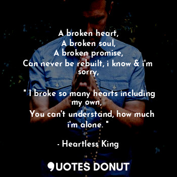 A broken heart,
A broken soul,
A broken promise,
Can never be rebuilt, i know & i'm sorry,
 
 " I broke so many hearts including my own, 
   You can't understand, how much i'm alone. "