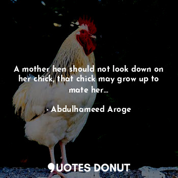 A mother hen should not look down on her chick, that chick may grow up to mate her...