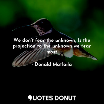  We don't fear the unknown, Is the projection to the unknown we fear most... - Donald Matlaila - Quotes Donut