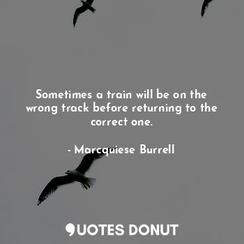  Sometimes a train will be on the wrong track before returning to the correct one... - Marcquiese Burrell - Quotes Donut