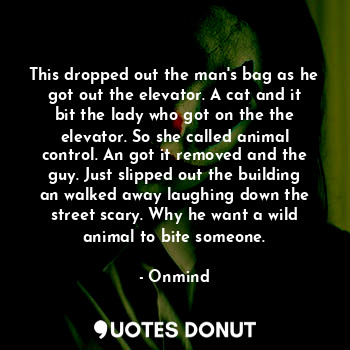  This dropped out the man's bag as he got out the elevator. A cat and it bit the ... - Onmind - Quotes Donut