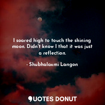 I soared high to touch the shining moon. Didn't know I that it was just a reflection.