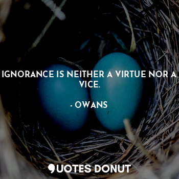 IGNORANCE IS NEITHER A VIRTUE NOR A VICE.