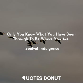  Only You Know What You Have Been Through To Be Where You Are.... - Soulful Indulgence - Quotes Donut