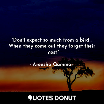 "Don't expect so much from a bird . When they come out they forget their   nest"