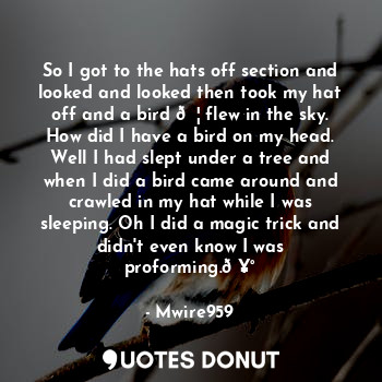 So I got to the hats off section and looked and looked then took my hat off and a bird ? flew in the sky. How did I have a bird on my head. Well I had slept under a tree and when I did a bird came around and crawled in my hat while I was sleeping. Oh I did a magic trick and didn't even know I was proforming.?