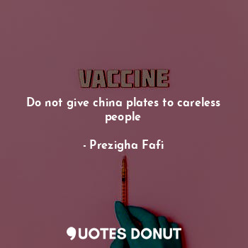  Do not give china plates to careless people... - Prezigha Fafi - Quotes Donut